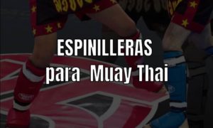 Espinilleras para Muay Thai