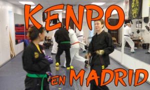 clases de karate kenpo en madrid